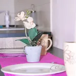 Jug